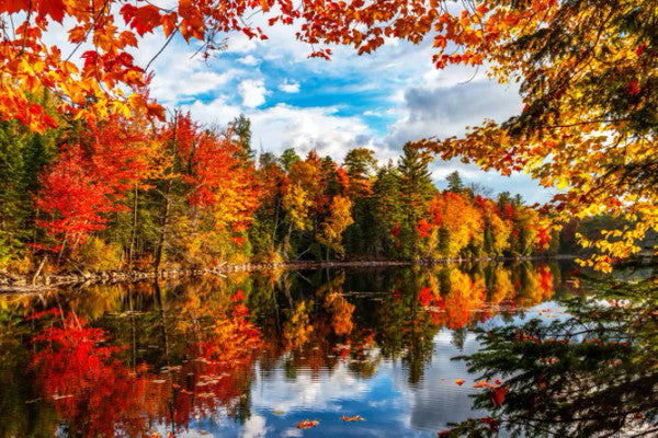Autumn Lake 500 Pc