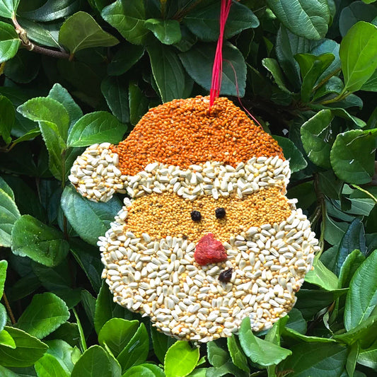 Santa Bird Seed Cookie