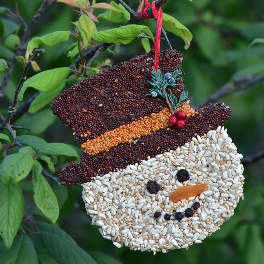 Snowman Bird Seed Cookie