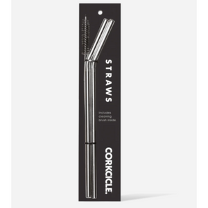 Tumbler Straw 2 Pack Stainless